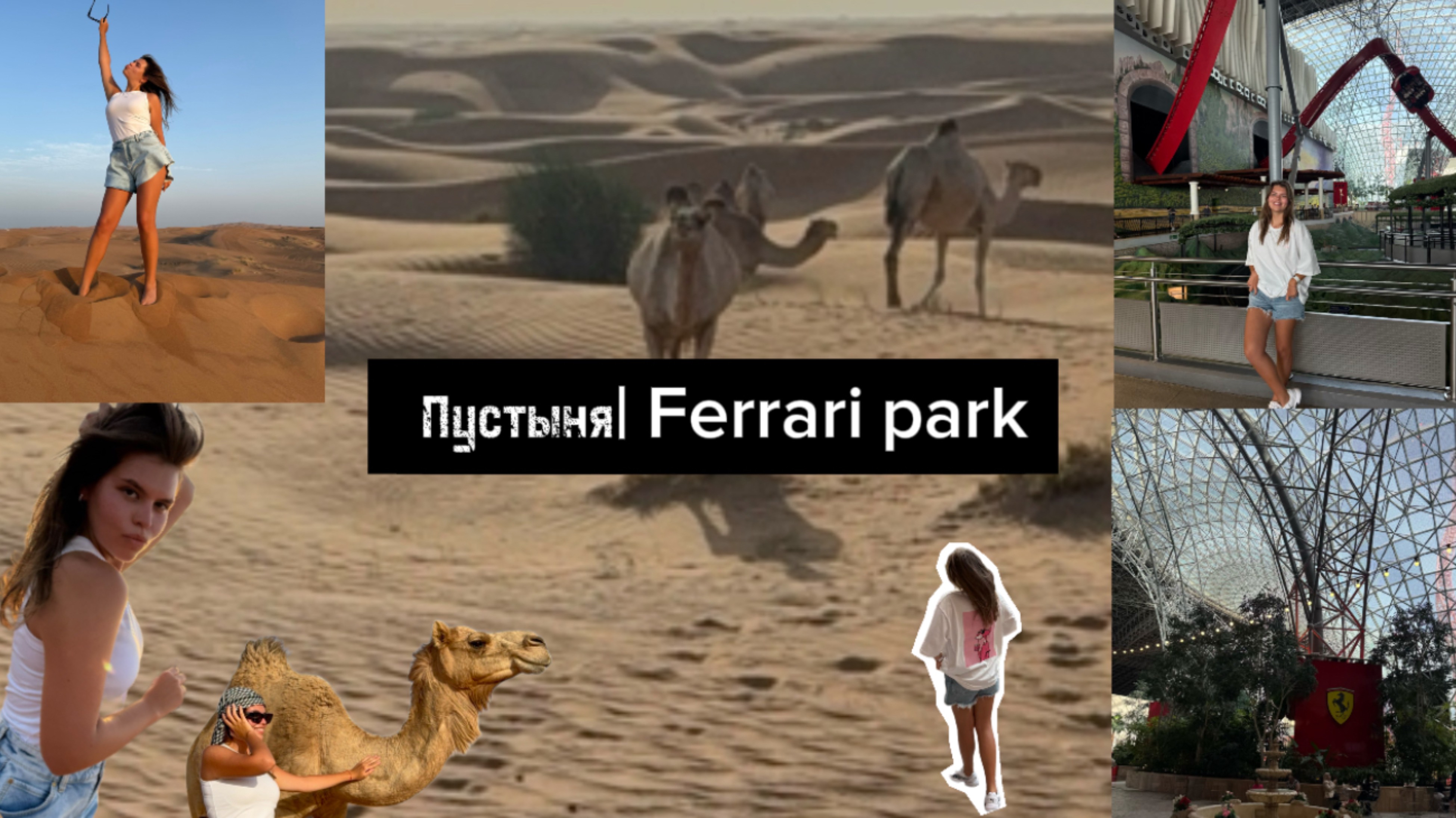 Сафари в пустыне и Ferrari park в Абу-Даби
