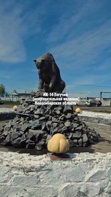 Владимир Курский с гуманитарной помощью и благотворительным концертом в Новосибирской области