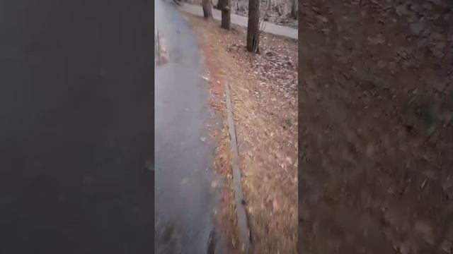 прогулка