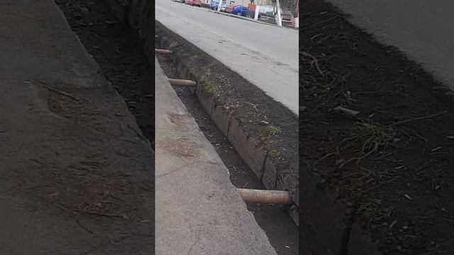 Город топки росия кемеровская область уборка парка 23.0