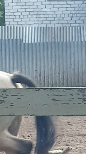 тренеруемся