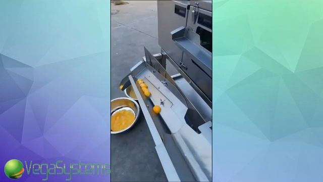 Промышленный сепаратор яичного белка Vega Egg Crusher H 5000