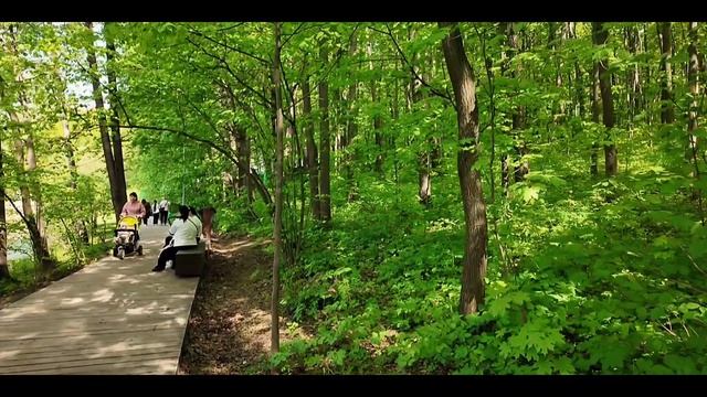 В шоке от парка в центре Нижнего Новгорода