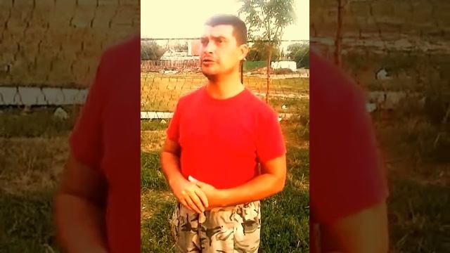 Андрон