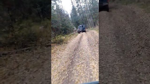 20211009 Шунут, от Шунута до Старик Камня