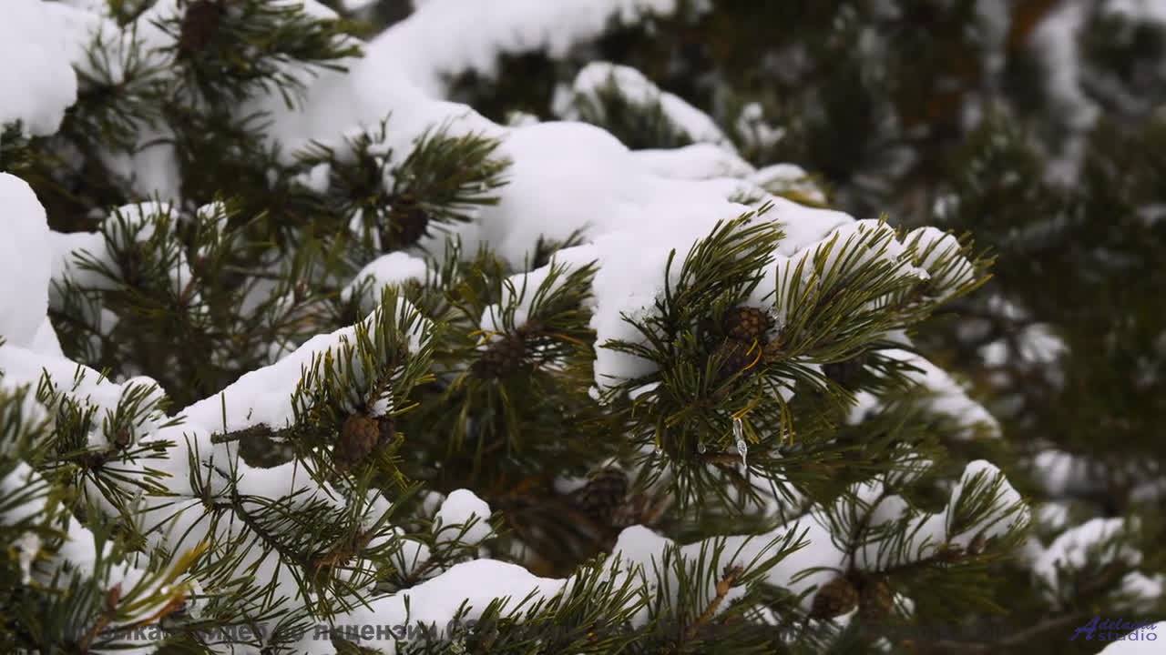 Каждая долина под такую мелодию становится личным раем - Autumn Leaves -- Kirk Osamayo -- Season Two