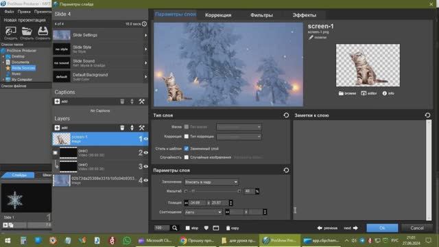 Прошоу продюсер (Движение снежинки)
