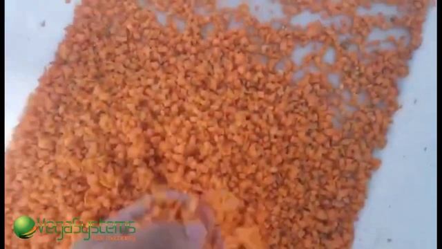 Машина для нарезки овощей Vega Dicer H1000 кубик, брусок, слайсы