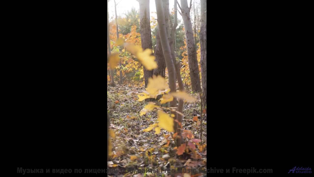 Вы не путешествовали, пока не услышали этот саундтрек! - Depth of You -- Independent Music Licensing