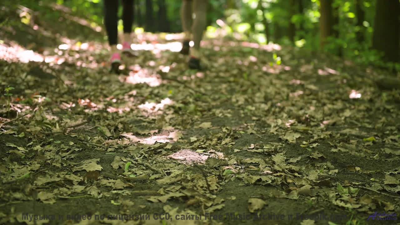 Трек, который вы включите, когда в сотый раз свернёте с маршрута - 20 Minute Meditation 1 -- Holizna