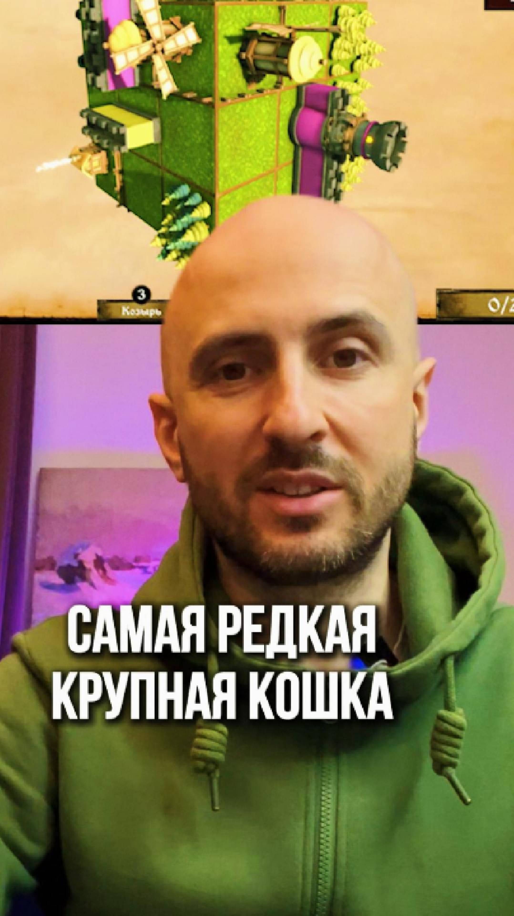 Cамая редкая крупная кошка