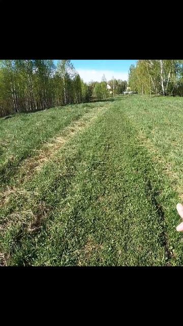 Тропа которая меня испытывает.