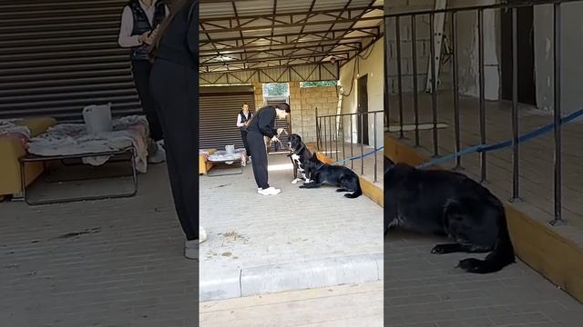учимся ещё раз учимся(4)