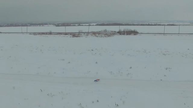 [DRONE] Первая квалификация уиппета Ли (красная майка, од?