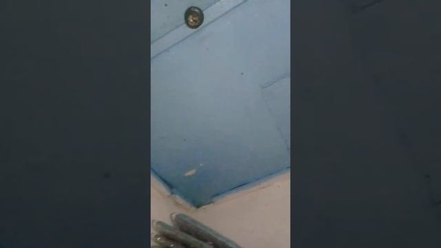 Майский район село Коктобе комары, мошки