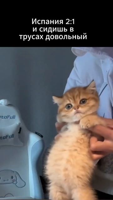 Это могли быть вы, если перешли бы в тг