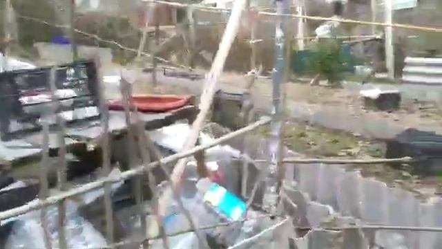 Наконец-то растаял снег в огороде! 😊