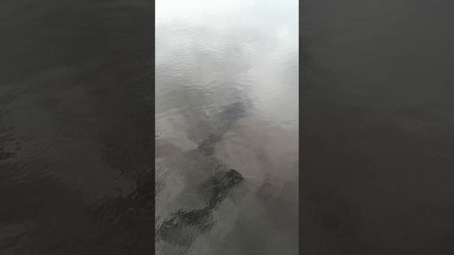 Красота☺️