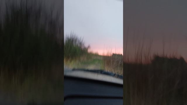 за рыбой 🐟