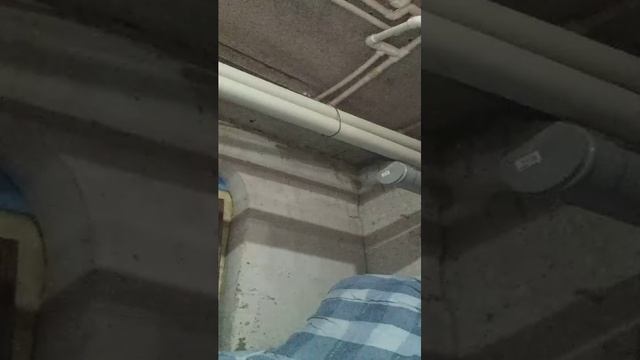 ощ