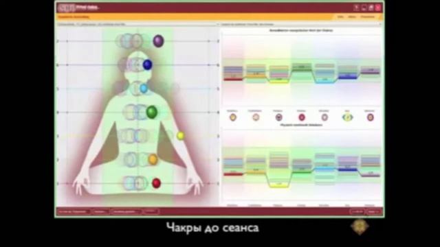 Сеансы EMF - Татьяна Брежнева (вебинары)
