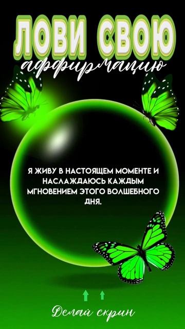 VID_20250516_215616_741.mp4