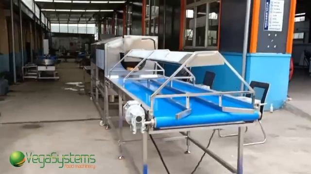 Подающий элеватор-транспортер Vega Elevator H320