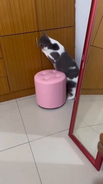 Мешок с картошкой #28