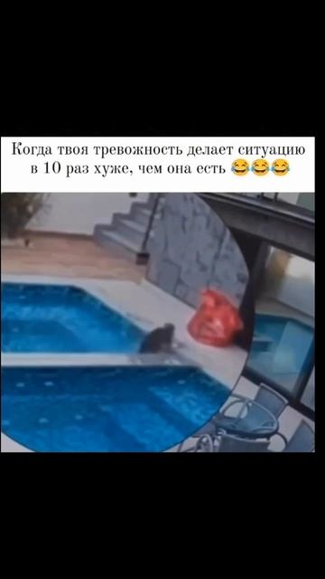 Есть тут тревожные?
Когда сценарий катастрофы уже в голове, а тело ещё даже не проснулось...