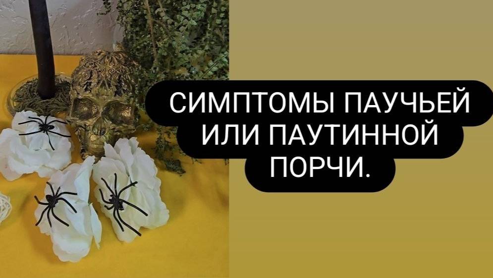 Симптомы паучьей порчи. #паучьяпорча #симптомыпаучьейпорчи