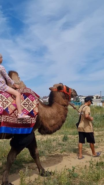 по степи Соль-Илецк 23
