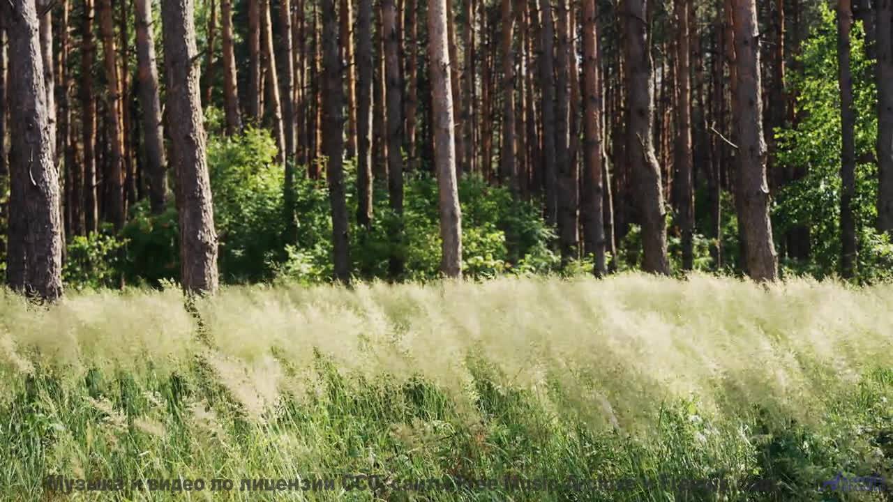 Закат, открытая дорога и трек, который вы будете помнить вечно - Symphony No. 1 IV. Hope -- Steve Co