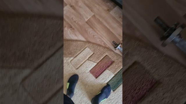 За день до.. Пловец побежит