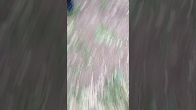 дворовой жизнь 1 часть смотрите перевернуто