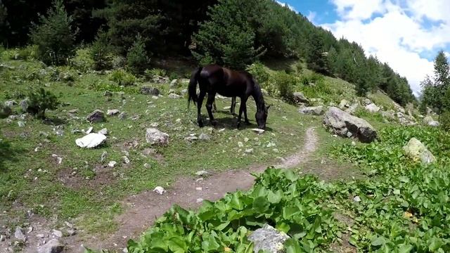 Go-Elbrus 2023. 4-7 августа. Шхельда, Alpindustria Elbrus race, Итколбаши.