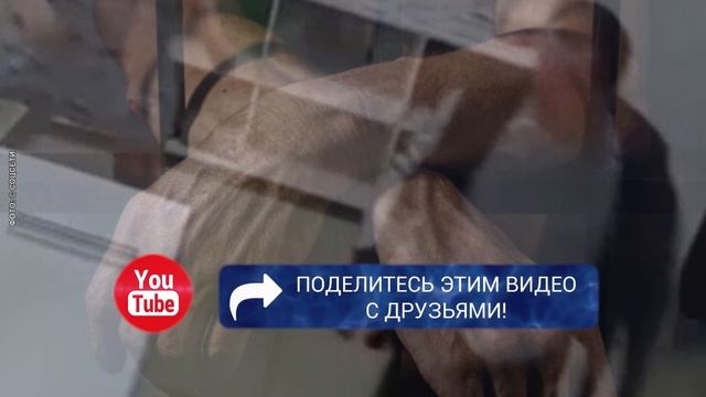 Мужчина зарезал сотрудницу службы доставки из-за запаха еды