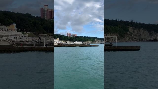 Дельфины🐬🐬