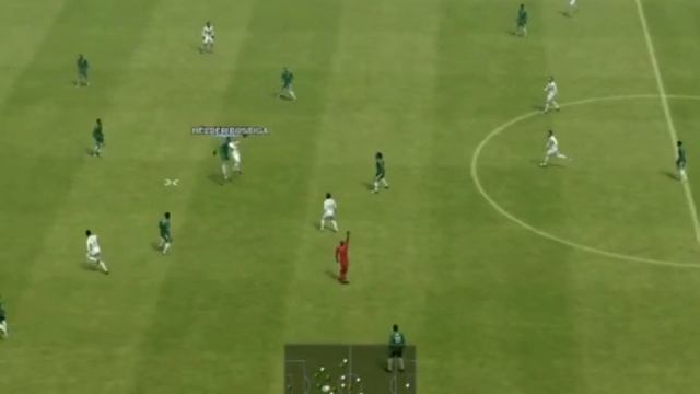 PES2013  Бразилия-Португалия