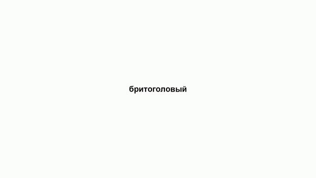 бритоголовый