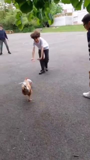 1000082765.mp4