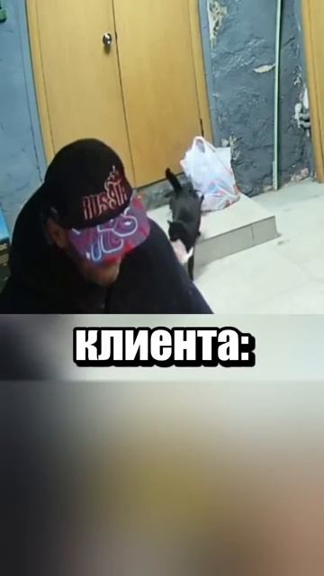 i11ushenka (100)