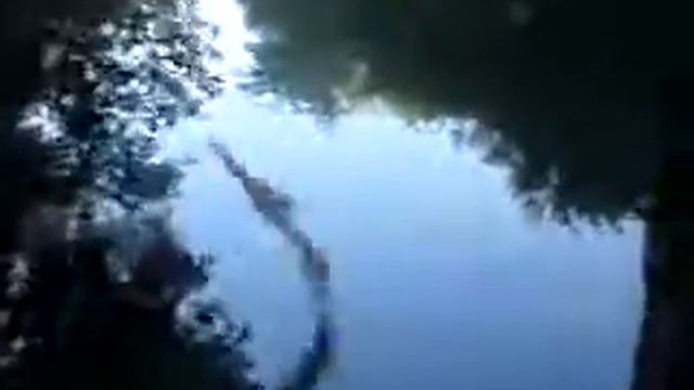 Я не верю своим глазам