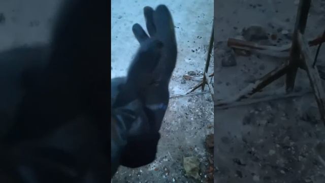 обзор на зимние перчатки зубр