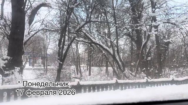 ИЗ ГЕРМАНИИ В КАЛИНИНГРАД НА МАШИНЕ. Магазины и Цены в