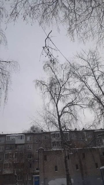 Кого защищает прокуратура? #ЕдиннаяРоссия #НародныйФронт #Путин #прокуратура