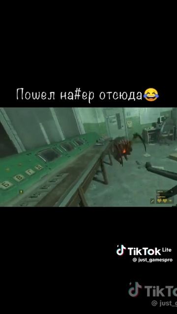 когда я слижу за братом
