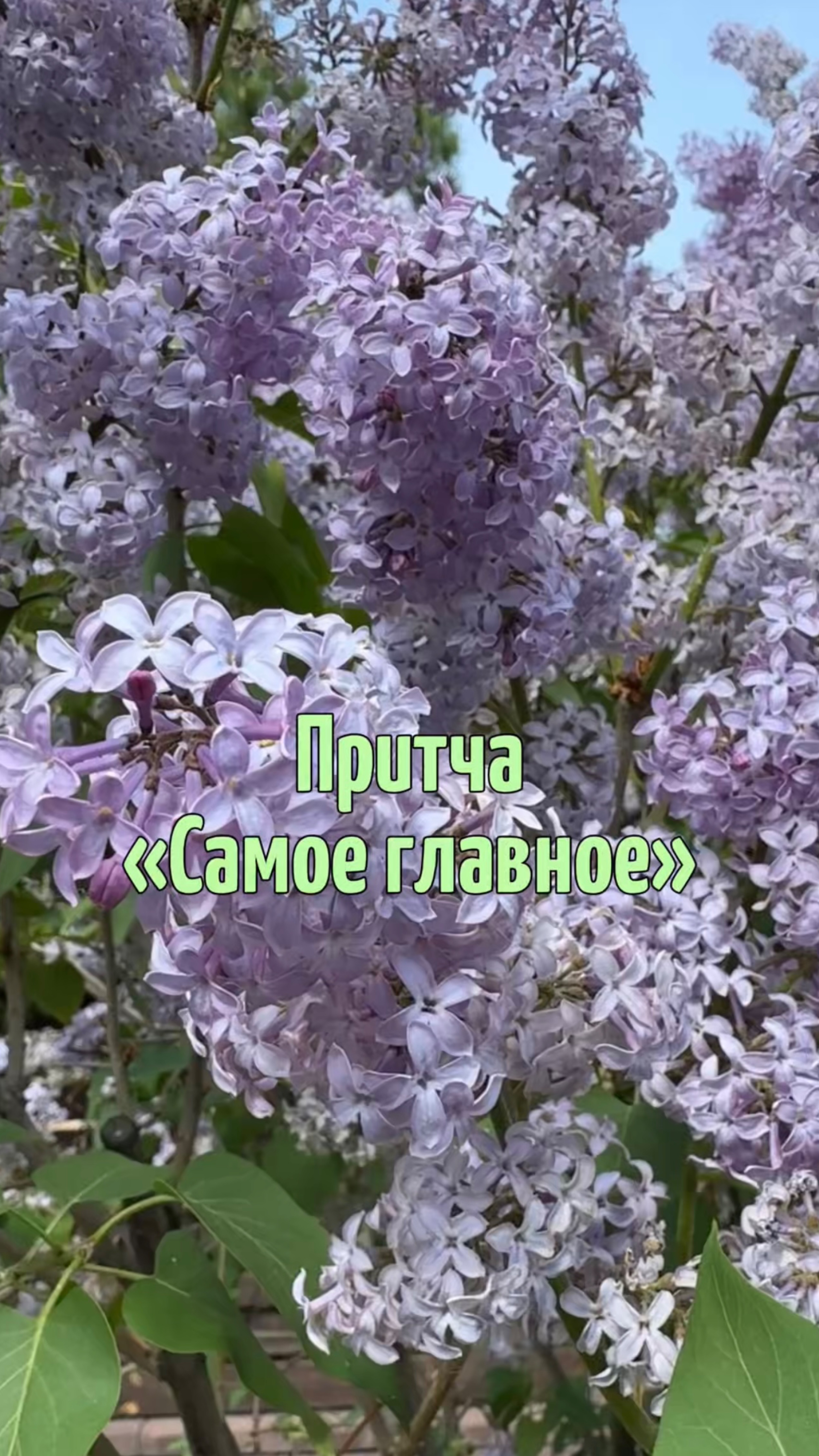 Притча « Самое главное»