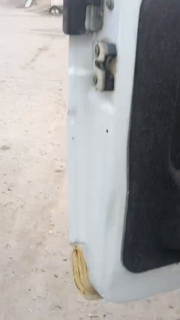 Газель