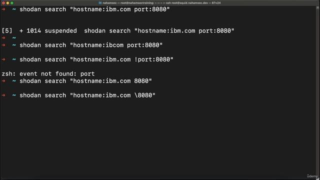 029Shodan CLI Examples
