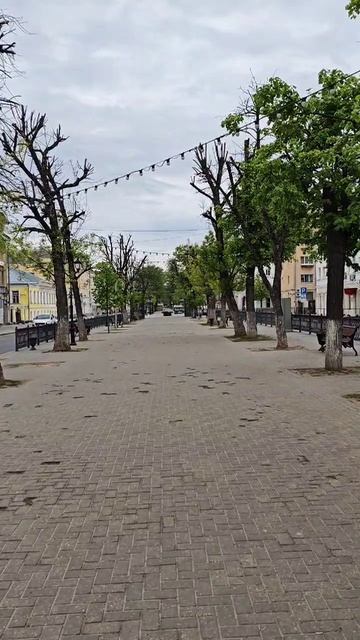 г.Тверь 17.05.25 ⏰6:40АМ, +10° День баклушников